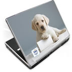 Laptop Skin mit Hundefoto